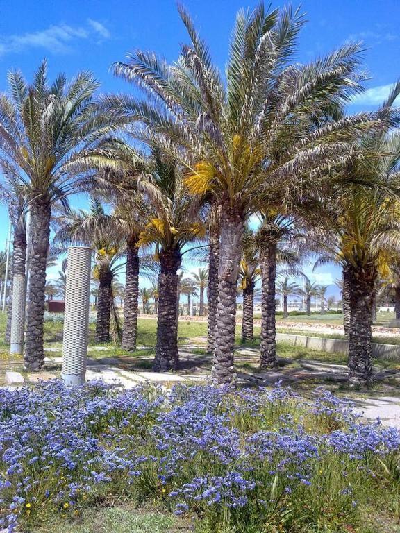 La Burbuja Apartment Almeria Luaran gambar